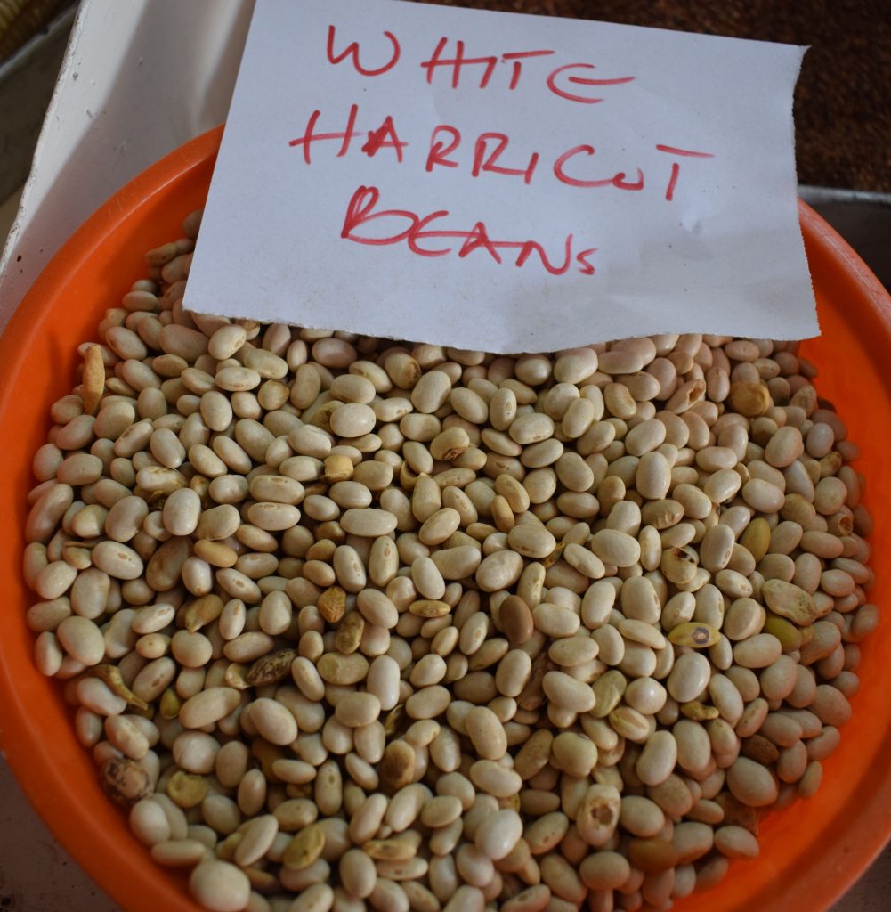 White haricot beans