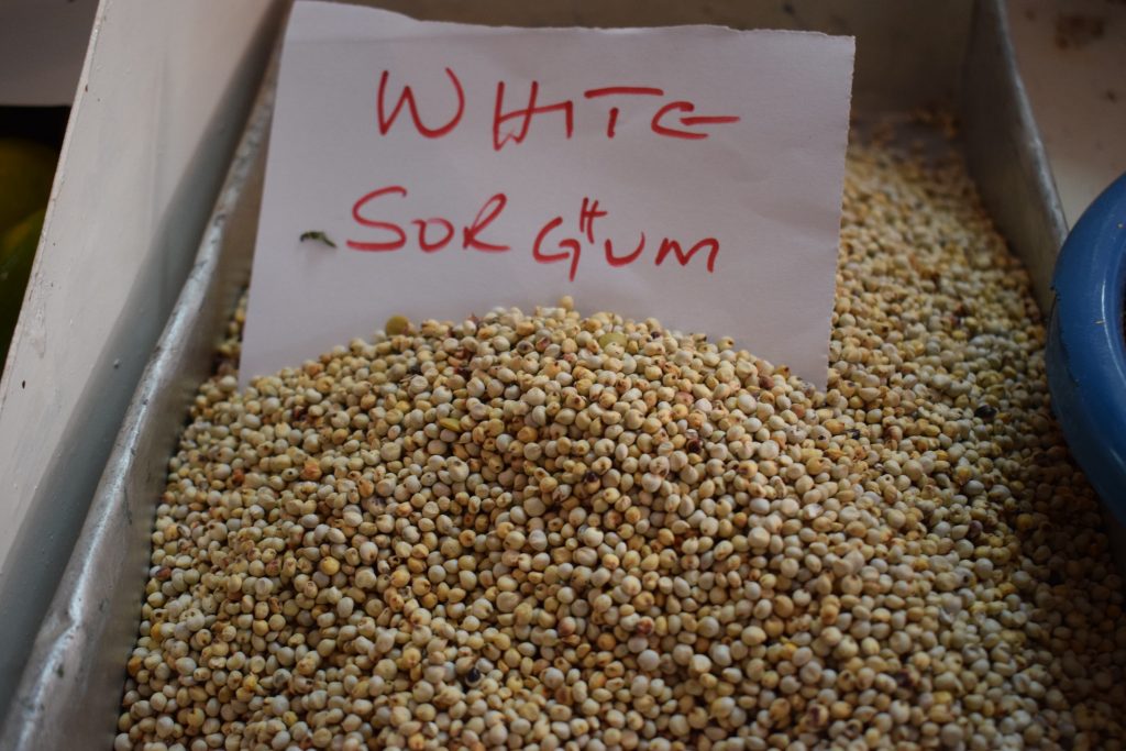 White sorghum