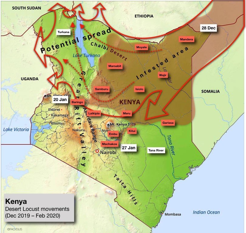 Kenya Locusts Movements