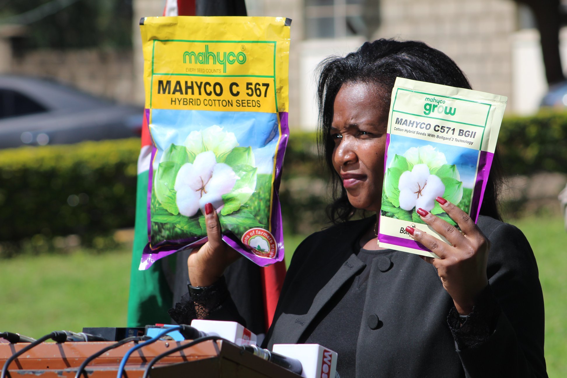 Kenya on track to revive cotton industry as it embraces Bt cotton