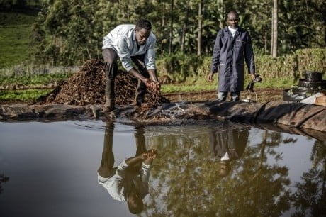 Paul Kiambu farmer FAO 3