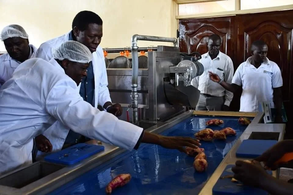 Sweet potato processing plant opened in Migori Migori sweet potato processing plant 2