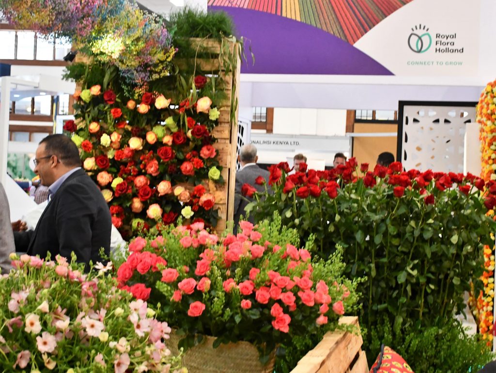 Kenya takes steps to comply with eu regulations on rose exports Flowers min