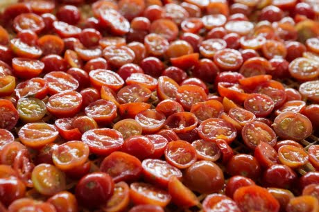 Tomatoes FAO 1