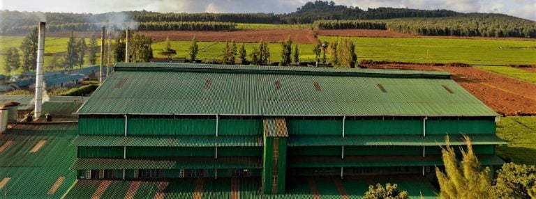 A KTDA managed tea factory