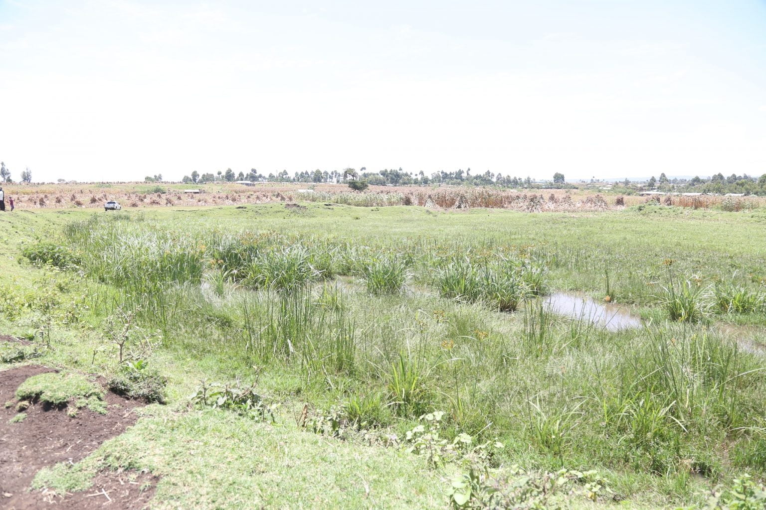 Trans Nzoia commissions Kshs. 2o Million dam Kilimo News