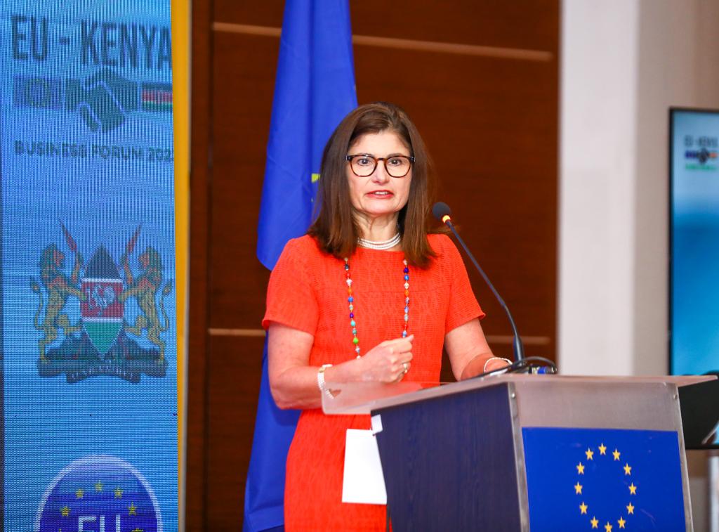 Henriette Geiger EU Ambassador to Kenya