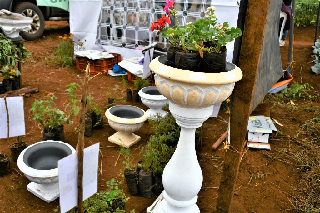 Nyeri quartet minting money from herbs & spices propagation Herbs and planting pots