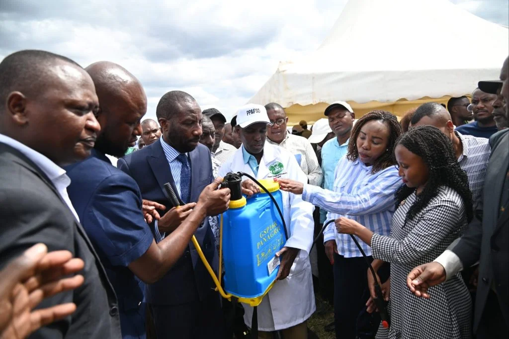 Rice snails fight in mwea 2