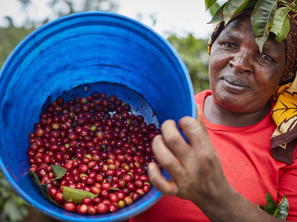 Kenya Coffee Farmer