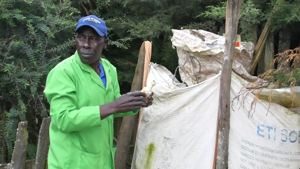 Watson Wachira supervises the collection of empty pestcide containers in his farm