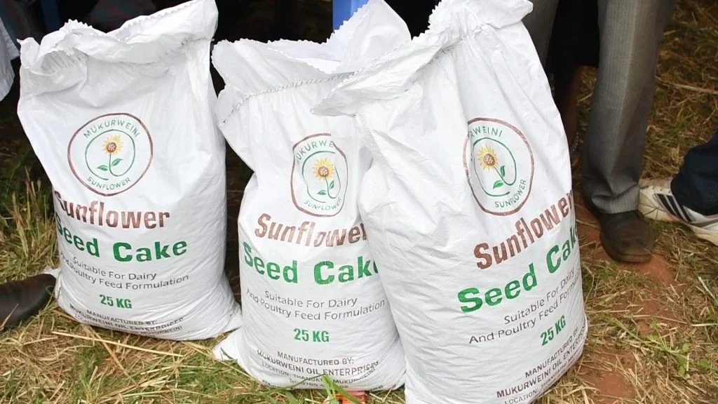 Former mca finds solace in sunflower and castor Sunflower cake from mukurwe ini oil enterprises