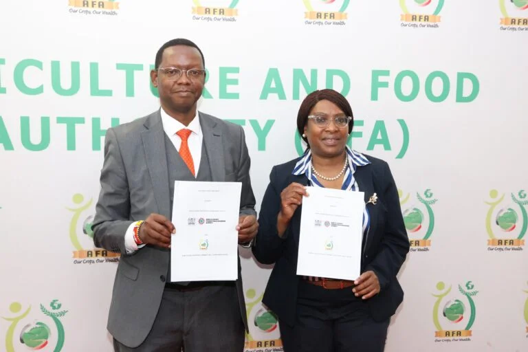 The Director General AFA Dr. Bruno Linyiru and Floice Mukabana KEPROBAs CEO during the signing of the agreement