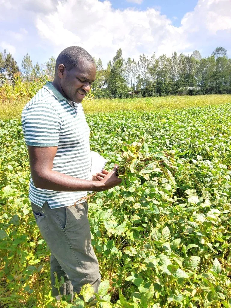 Dr. Harun Murithi Crop Health Specialist at IITA and Soybean Innovation Lab Dr. Harun Murithi Crop Health Specialist at IITA and Soybean Innovation Lab