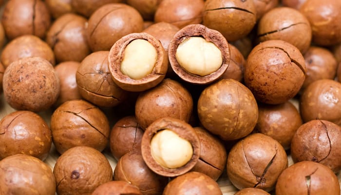 macadamia