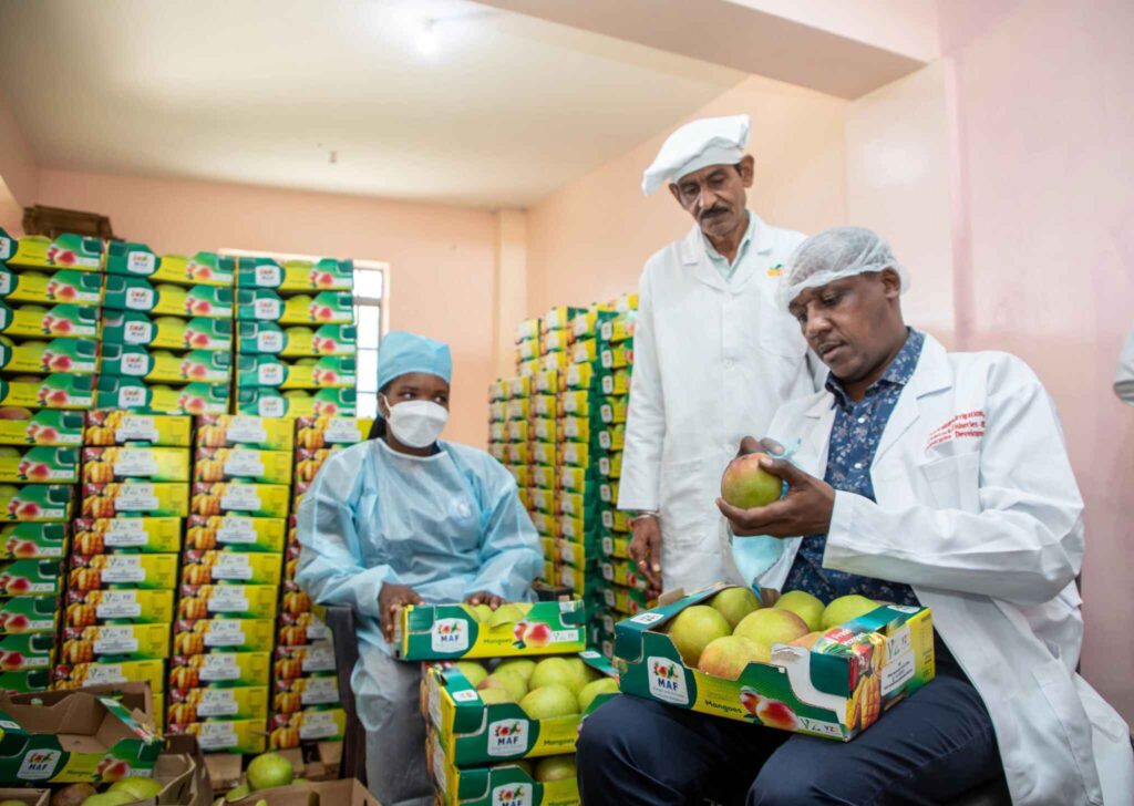 Governor Mutula Launches State of the Art Horticultural Aggregation Center and Packhouse in Wote 2