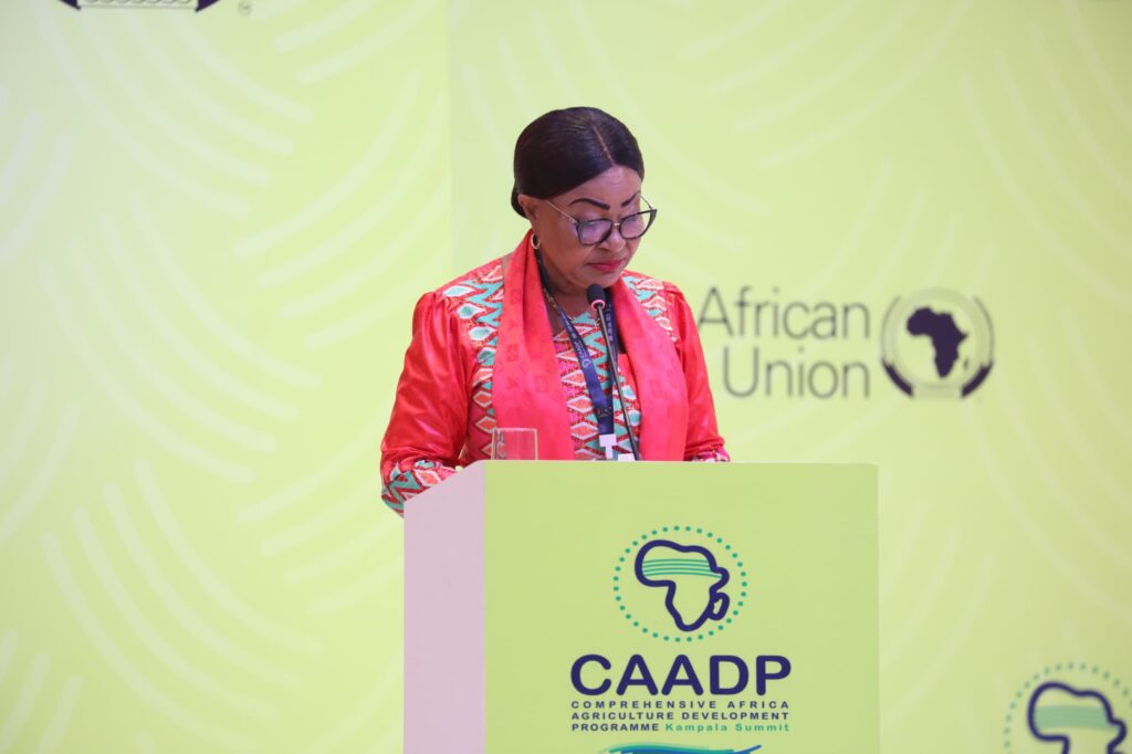 The Commissioner for Agriculture Rural Development Blue Economy and Sustainable Environment at the African Union Commission H.E. Ambassador Josefa Sacko