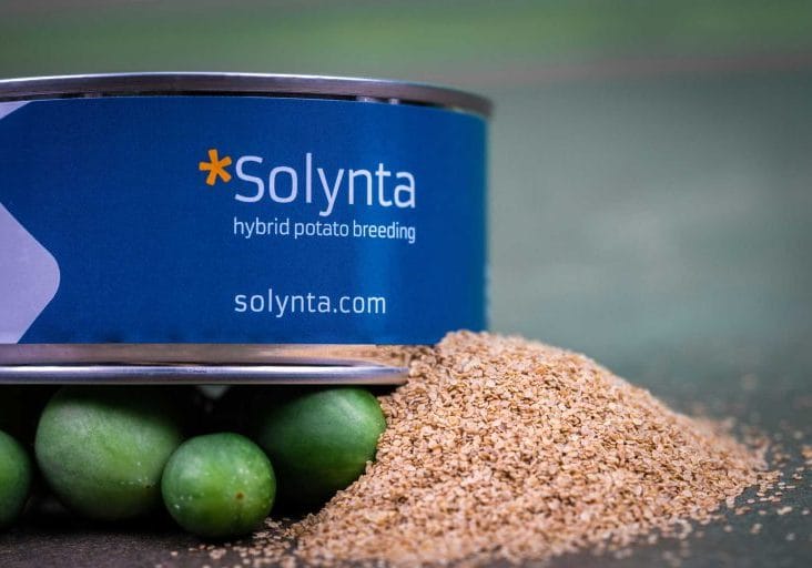 Packaged Solynta hybrid potato seeds