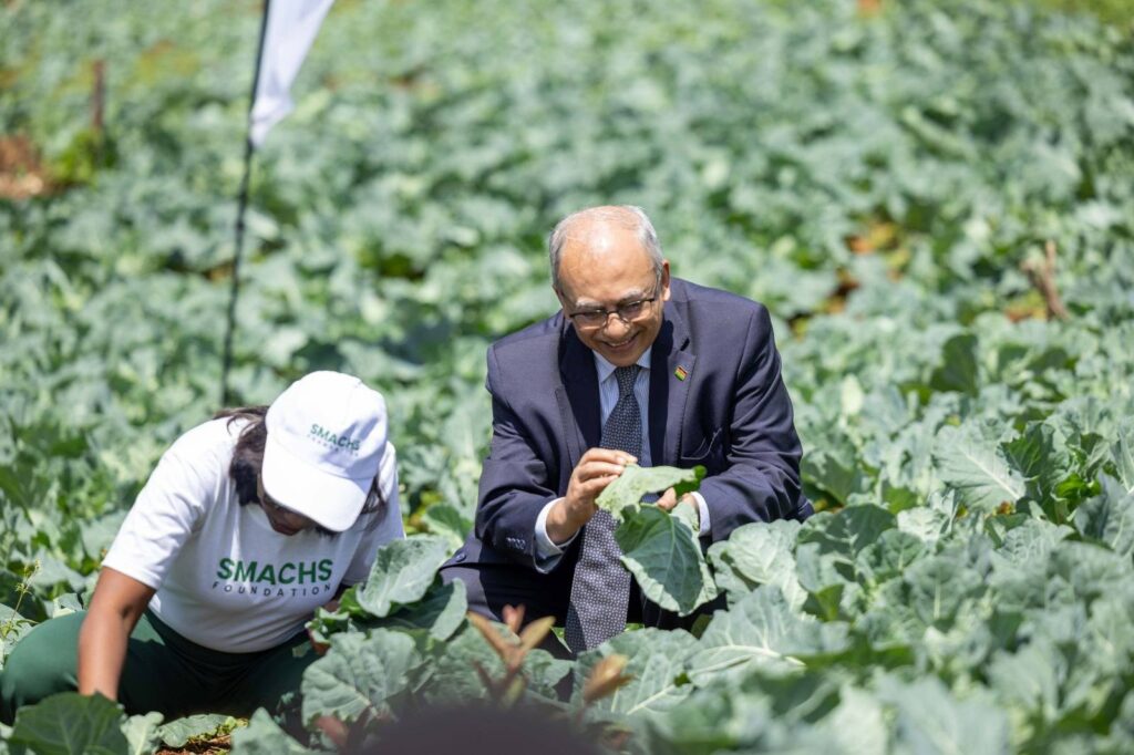 Elgon kenya and smachs foundation nurture young agripreneurs at nyanjega school Elgon kenya managing director bimal kantaria and ceo smachs foundation charlene ruto harvesting kales in the vegetable farm