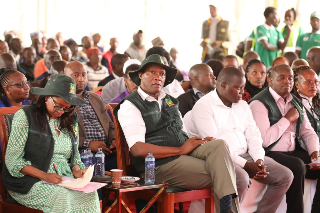 Nakuru County Champions Pyrethrum Revival in National Seedling Launch Nakuru County Governor Susan Kihika and Nyandarua Governor Moses Kiarie Badilisha were among those in Elburgon Molo Sub County for the launch of certified pyrethrum seedlings