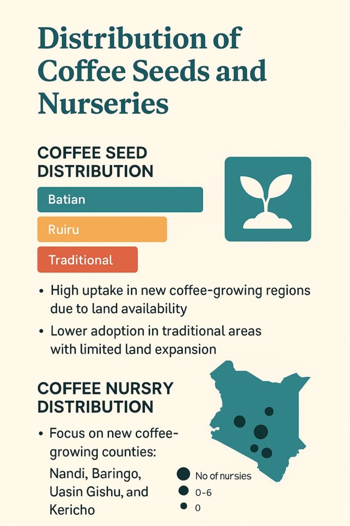 Coffee seeds & seedlings in high demand Coffee seeds and nurseries distribution