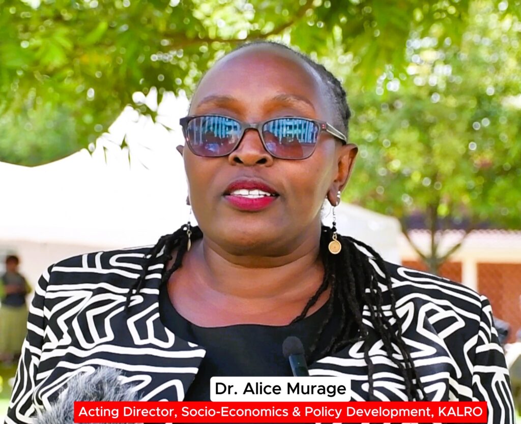 Kalro hosts inaugural socio-economics and policy development conference and exhibition to strengthen agricultural research impact Dr. Alice murage the acting director socio economics policy development at kalro
