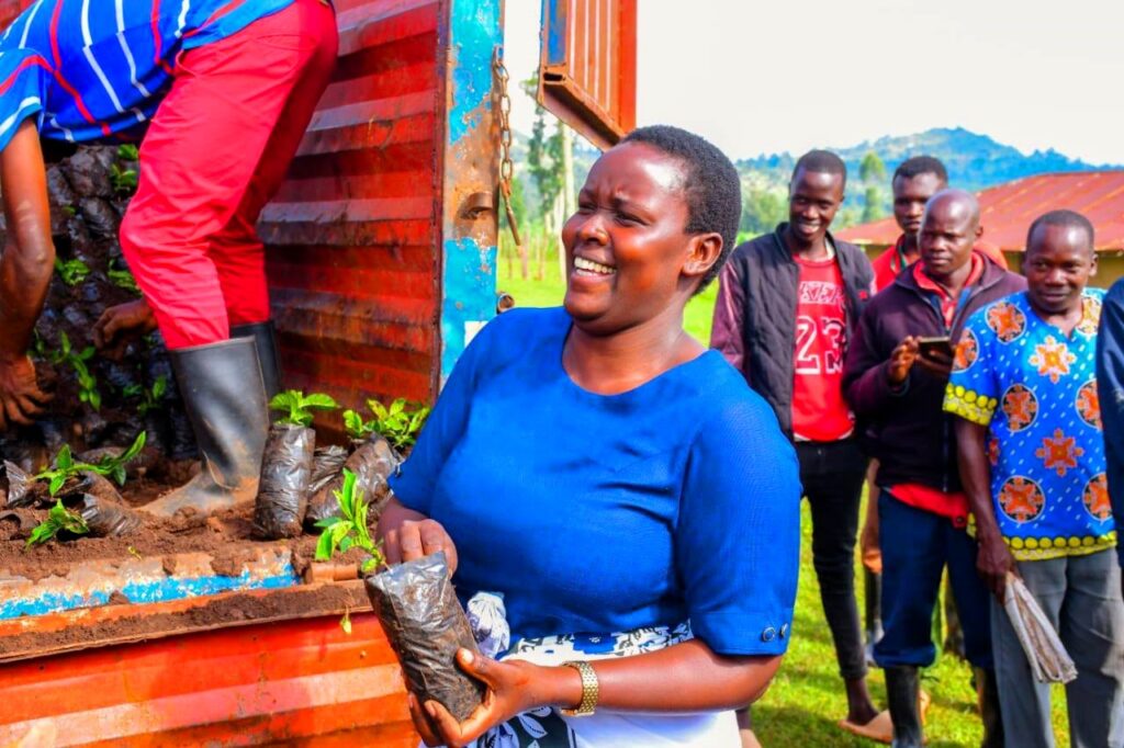 Nandi county mp drawing thousands of women into coffee ownership Nandi woman representative cynthia muge distributing coffee seedlings