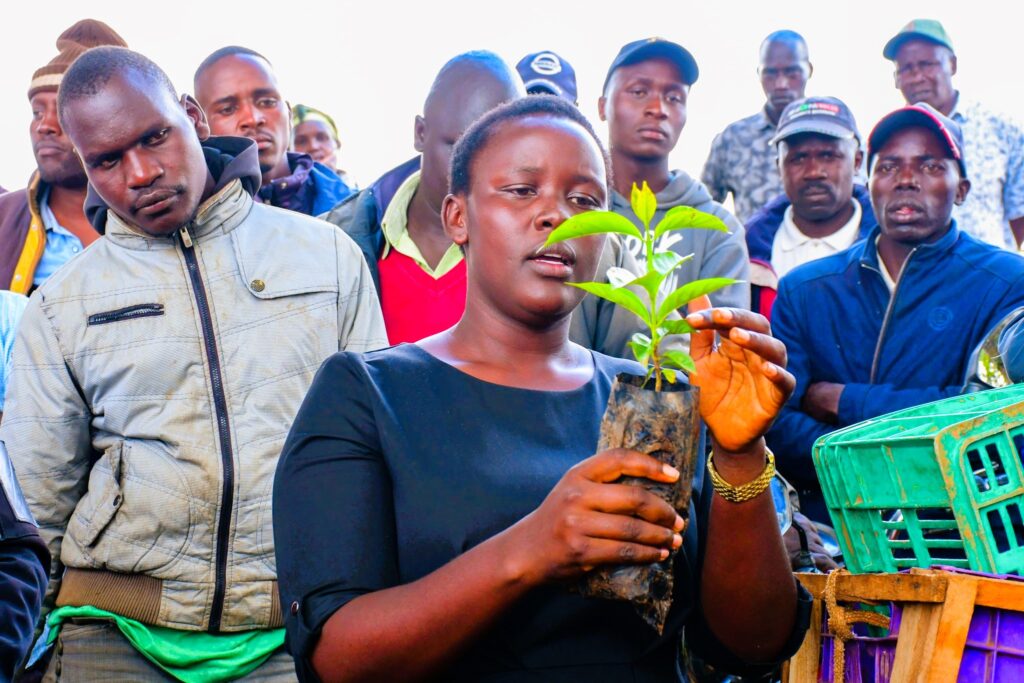 Nandi county mp drawing thousands of women into coffee ownership Nandi woman representative cynthia muge with soem men who are beneficiaries through their spouses