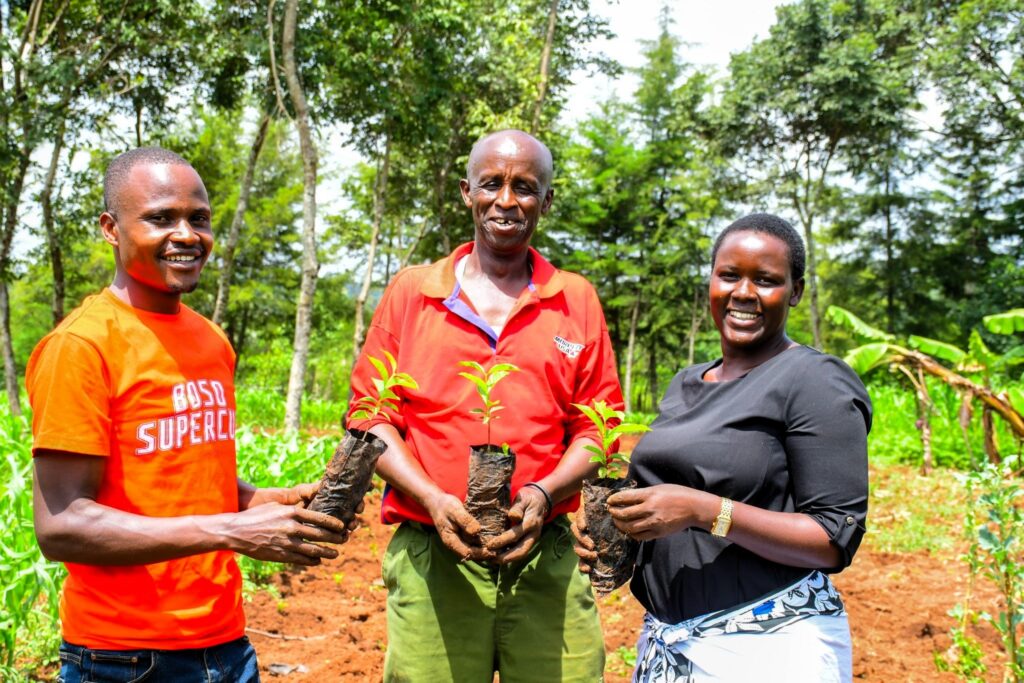 Nandi county mp drawing thousands of women into coffee ownership Nandi woman representative cynthia muge with some beneficiaries of kahawa na mama