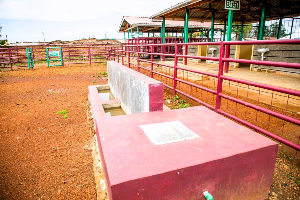 Government piloting animal chip identification system A part of nambale livestock sale yard