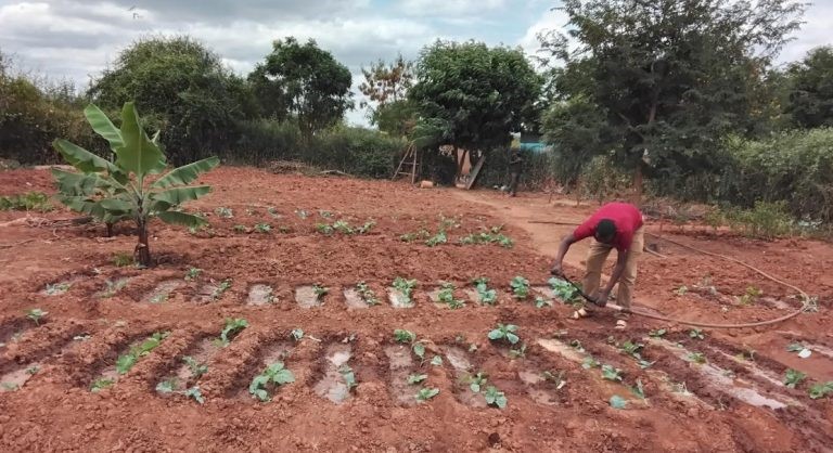 Musa dida a youthful pioneer fish farmer from the arid area of odda in moyale sub county in marsabit county