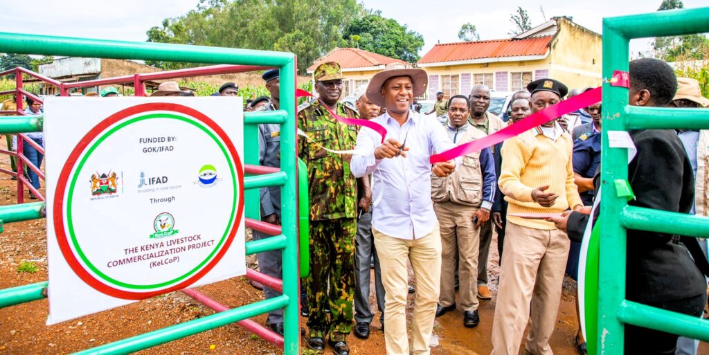 Government piloting animal chip identification system Opening of nambale livestock sale yard in busia county
