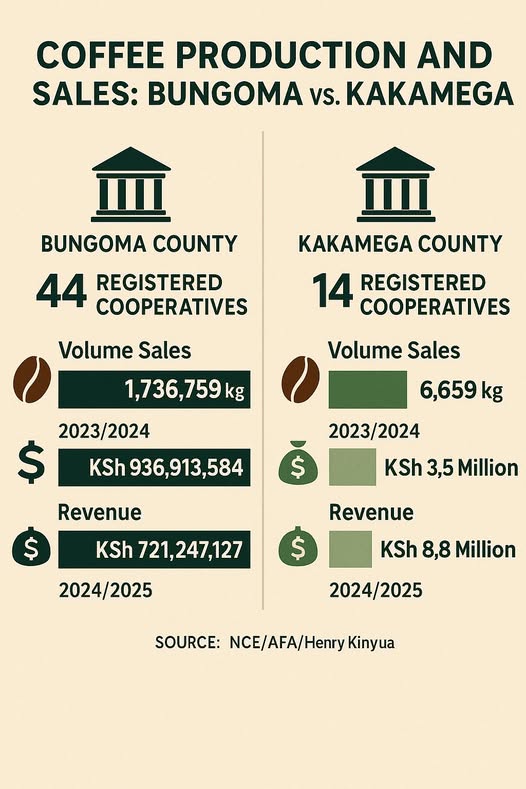 Coffee production and sales comparison: bungoma and kakamega counties Coffee sales at nce comparison bungoma and kakamega counties 1
