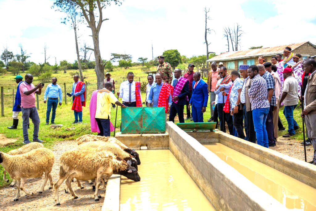 Government steps up livestock breeding efforts in samburu to boost exports Livestock development ps jonathan mueke tours the nomotio livestock improvement centre in maralal town