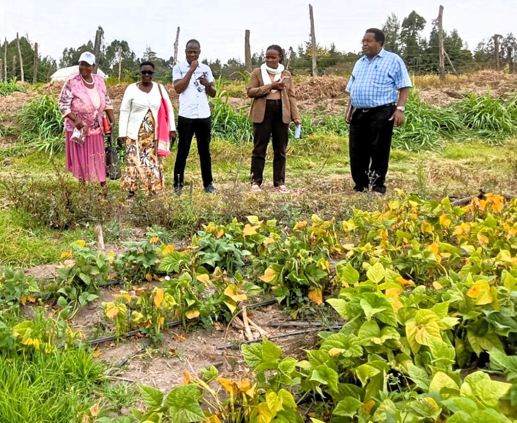 Monitoring bean farming in kieni nyeri county