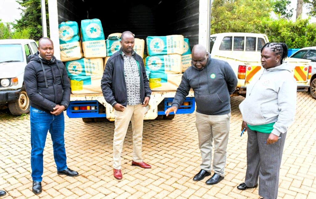 Sorghum seeds sourced by elgeyo marakwet county government