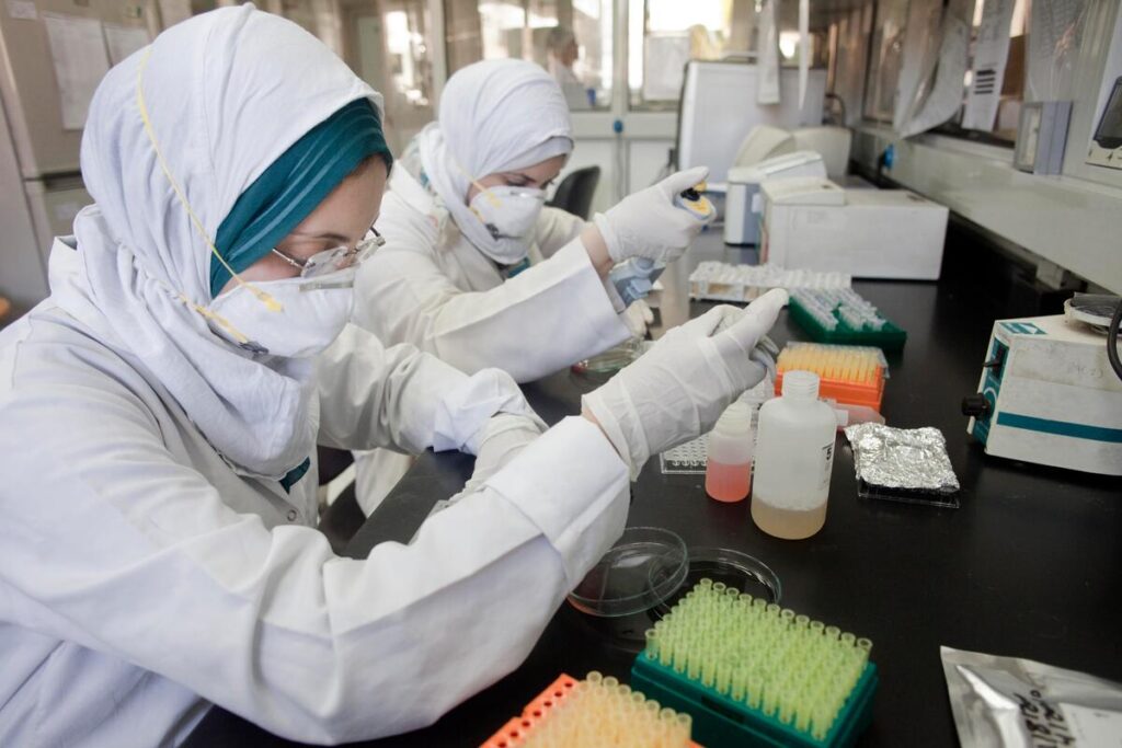 What you should know about avian flu Avian flu 4