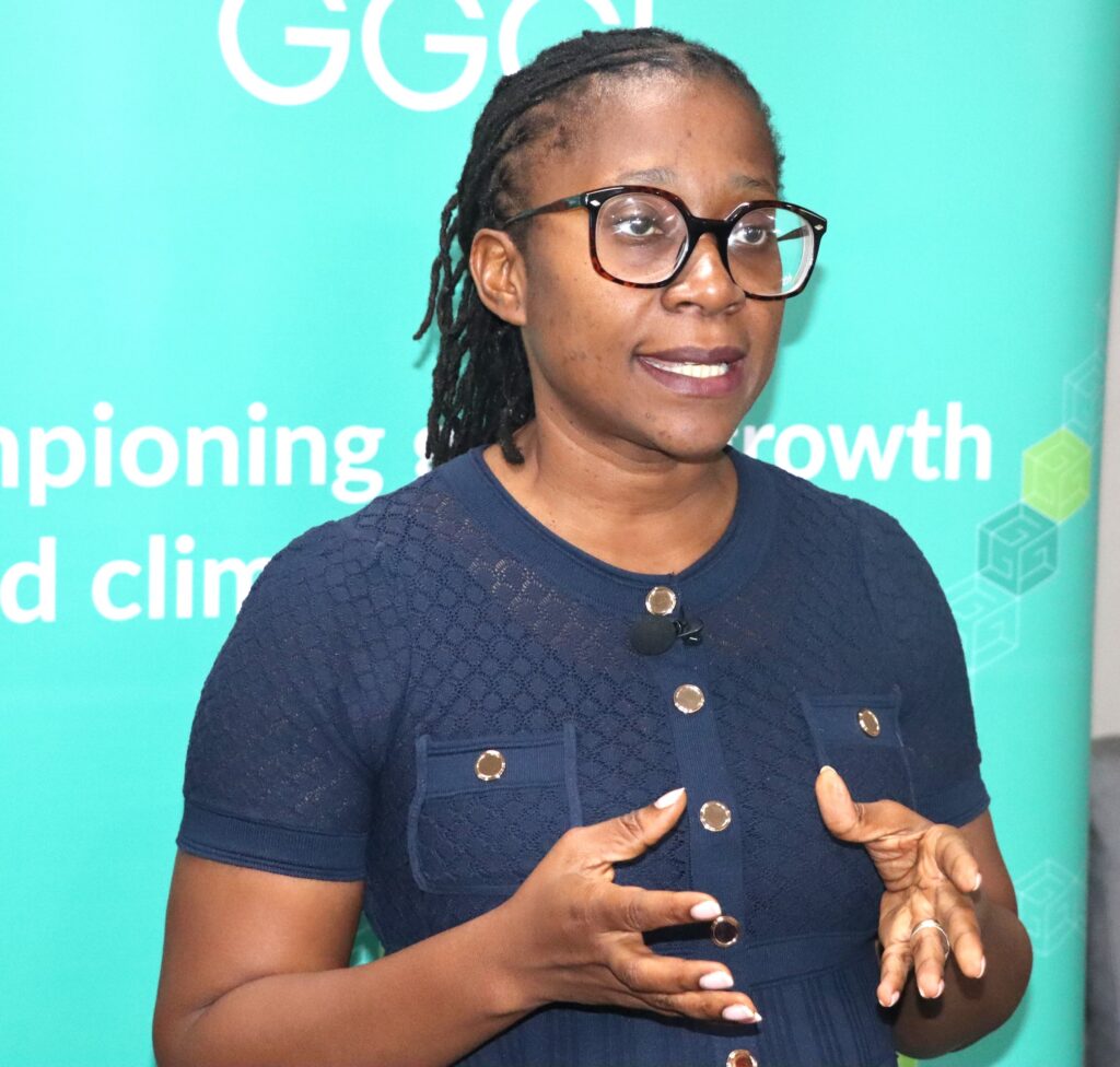 Experts trained on atlas tool to strengthen evidence-based climate action Ms. Sidonie kouam paques climate finance investment lead global green growth institute gggi