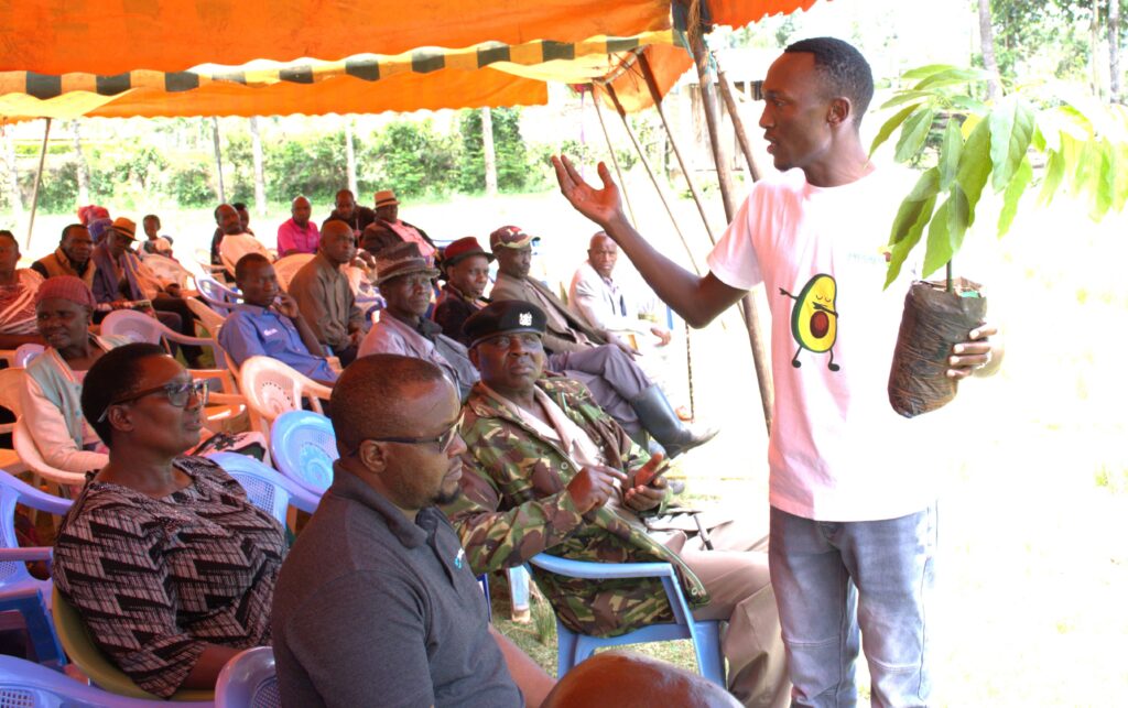Newton maina from avocado solutions africa trains farmers on the avocado planting process min