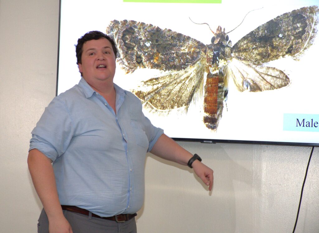 Dr Vernon Steyn an entomologist and FCM specialist at Insect Science