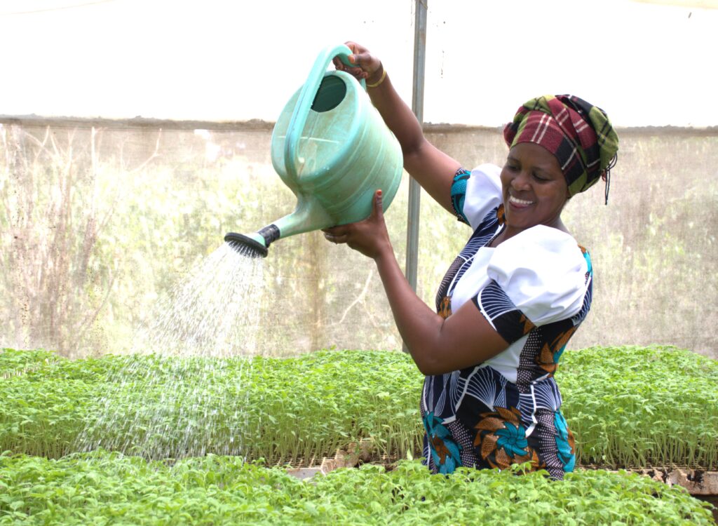 Mariam Sunte a tomato farmer from Rombo