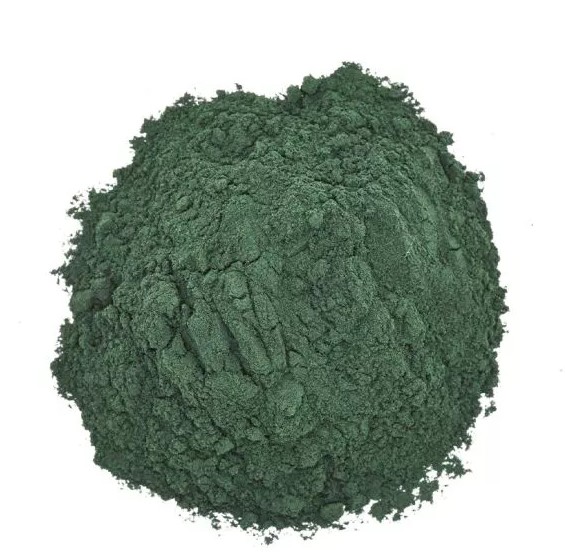 Israeli Partnership Boosts Training on Spirulina, BSF, Duckweed and Azolla Farming Spirulina powder