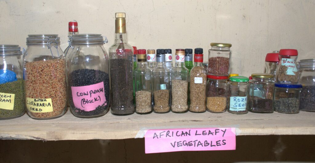 African leafy vegetables