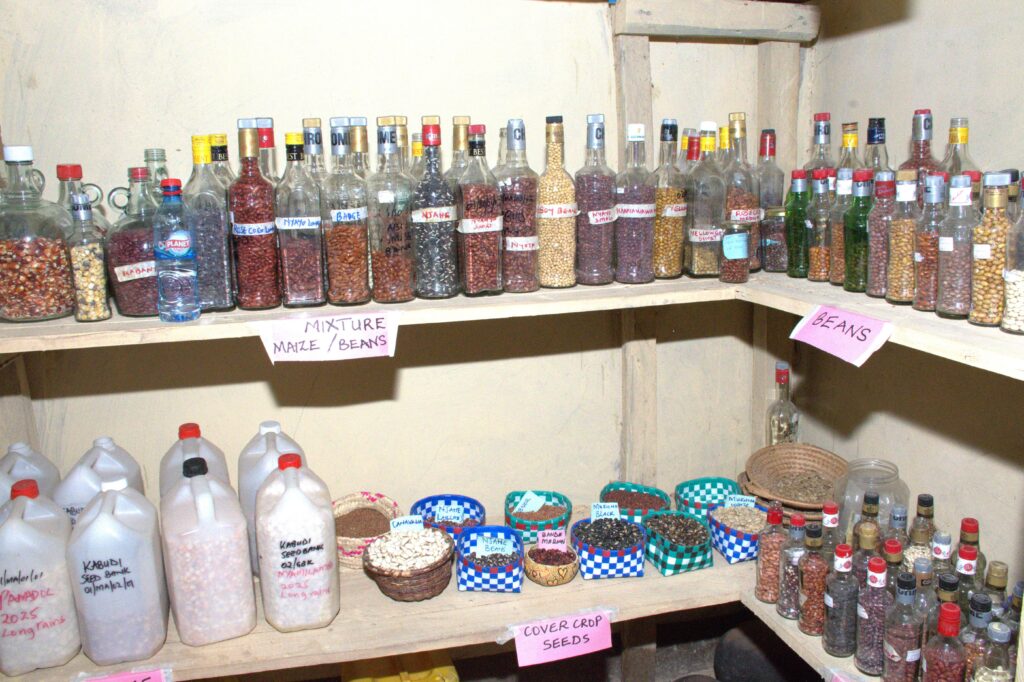 Different seed varieties preserved in the seed bank