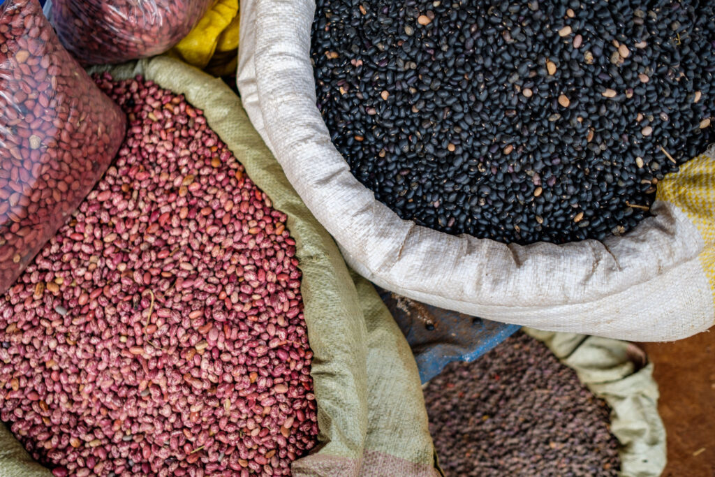 Beyond their vast nutritional value pulses also strengthen agricultural systems. ©FAOSumy Sadurni