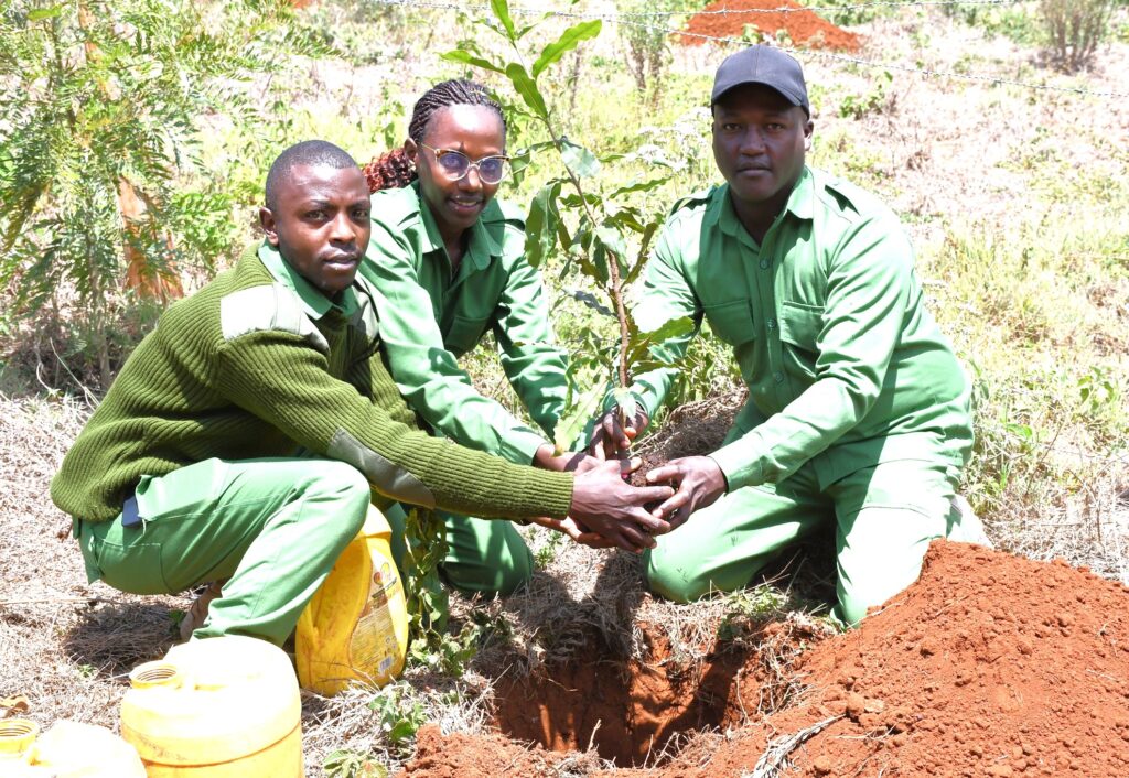 Planting trees during the Nyeri County World Wetlands Day celebrations