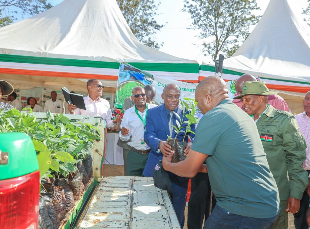 New Push to Raise Coffee Yields and Farmer Earnings unnamed file