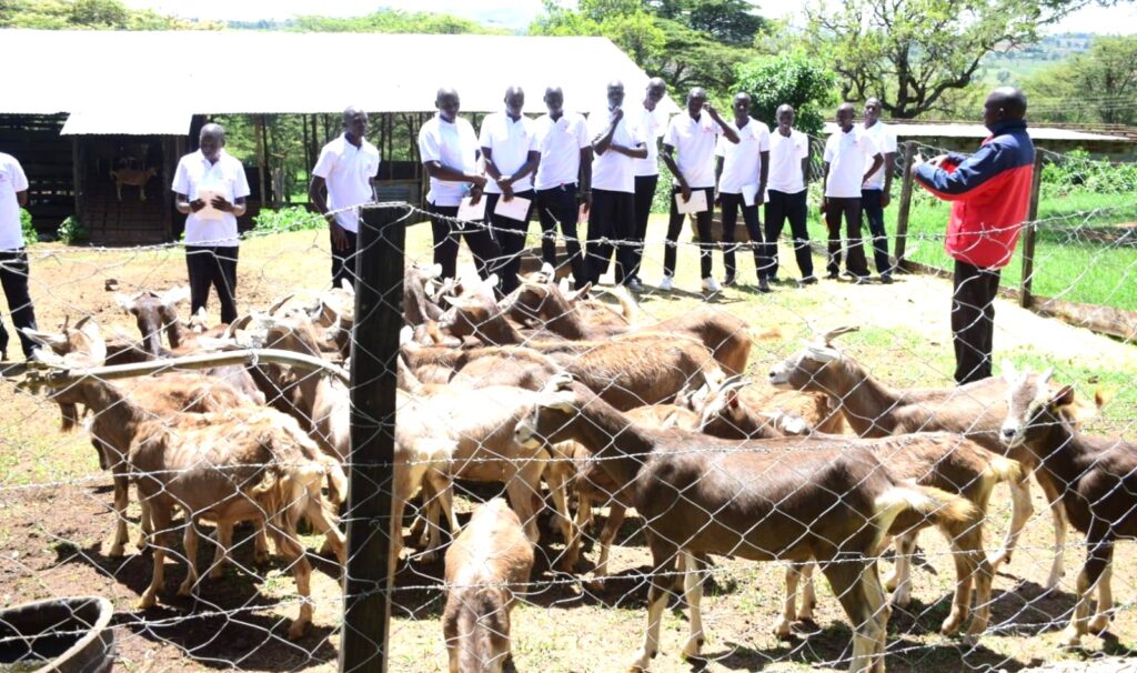 Chebororwo Agricultural Training Centre ATC 2