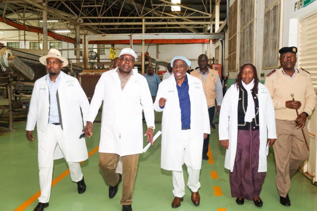 Inside Olenguruone Tea Factory