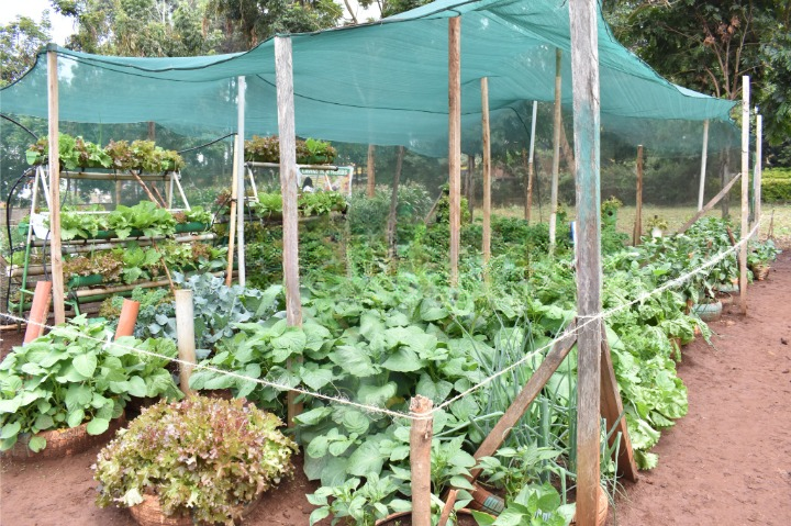 KALRO Pushes Research-to-Market Shift at Fourth Annual Open Week Some of the displayed innovations